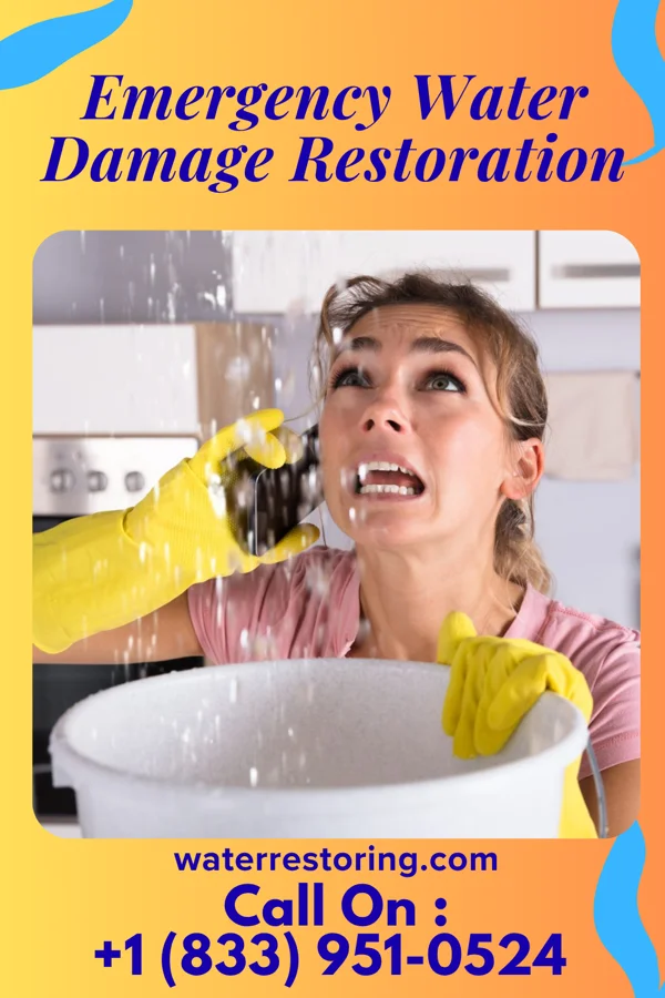 Emergency Water Damage Restoration in Wolf Lake, MI